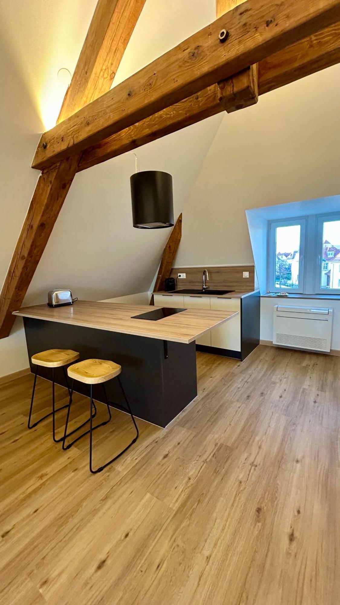 Appartement Moderne Et Spacieux, A 10 Min De La Gare Colmar Exterior photo